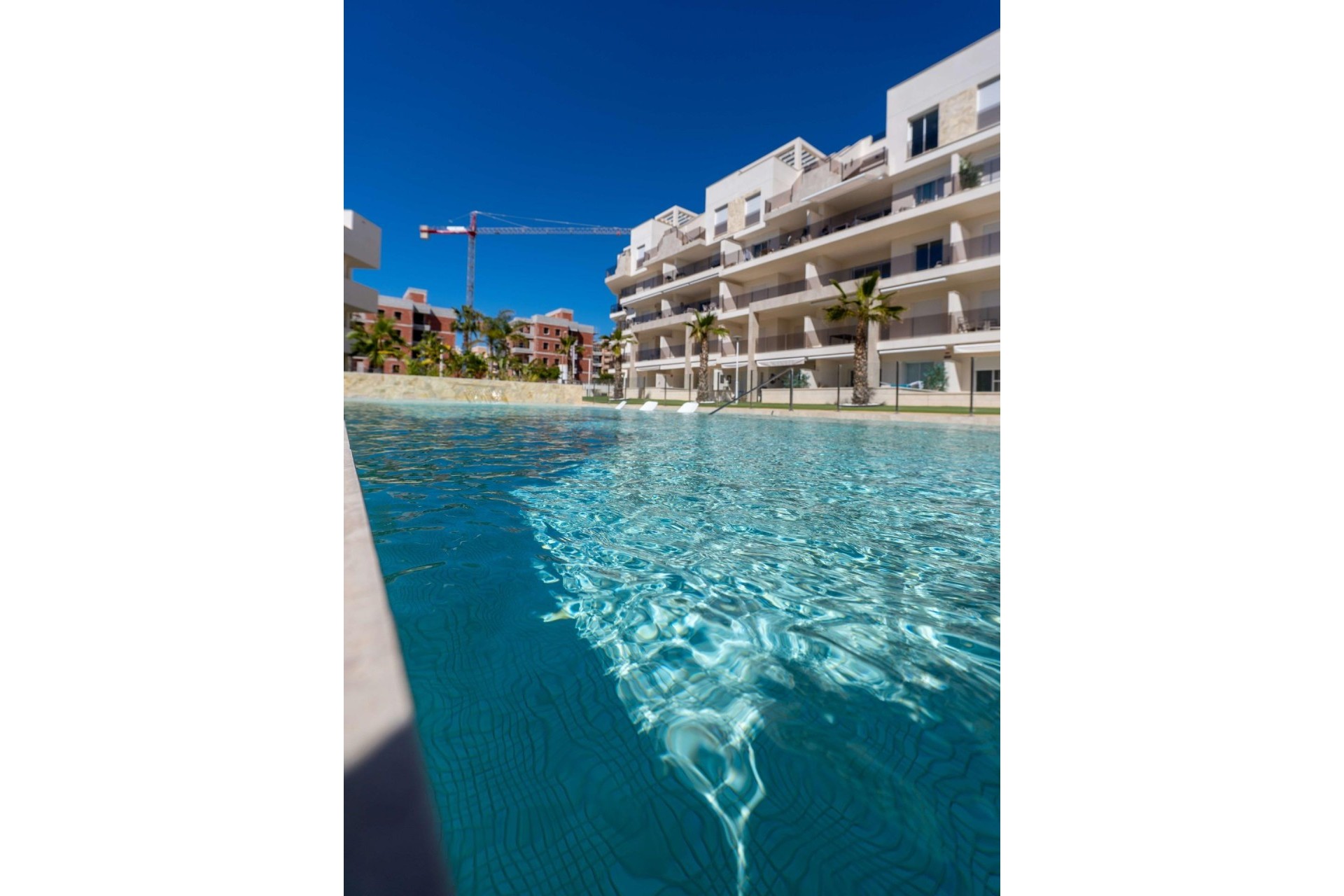New Build - Apartment / flat - Guardamar del Segura - El Raso