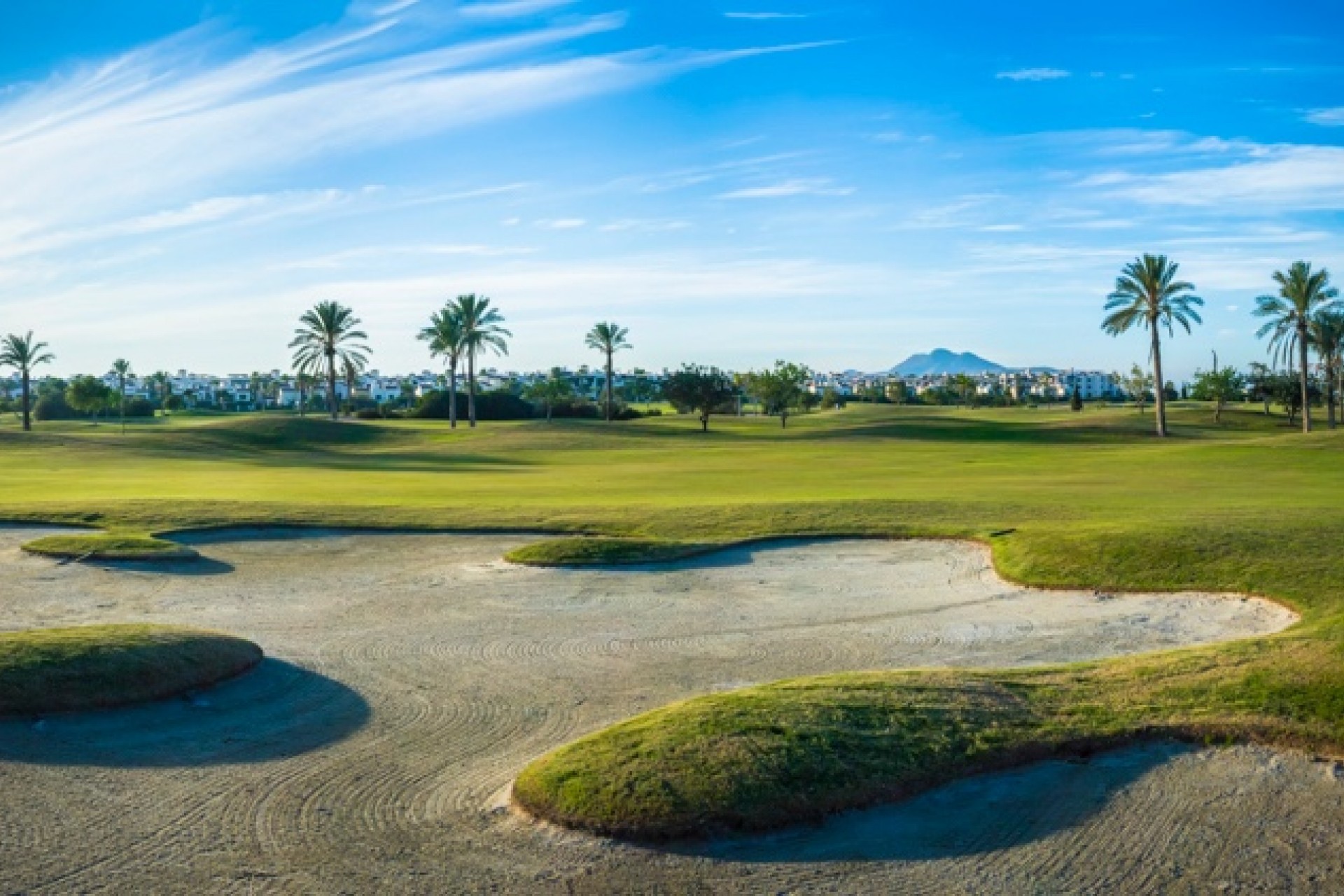 New Build - Apartment / flat - San Javier - Roda Golf