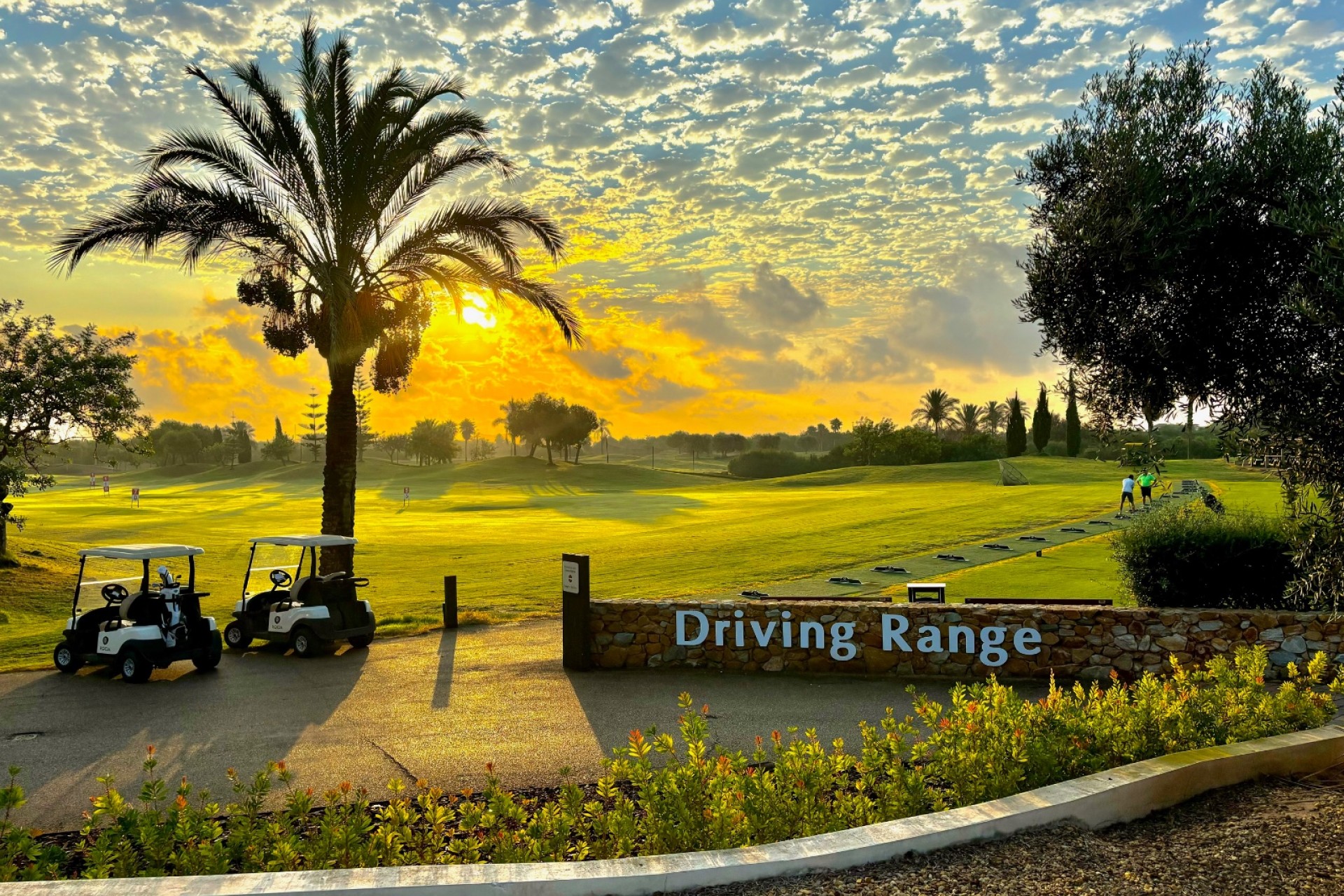 New Build - Apartment / flat - San Javier - Roda Golf