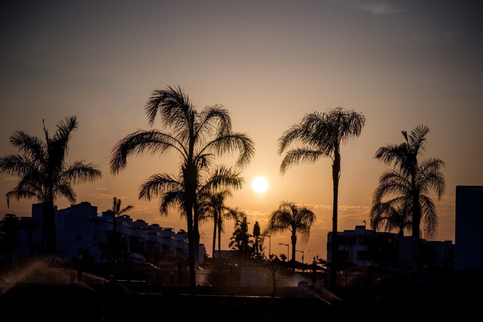 New Build - Apartment / flat - Santa Rosalía