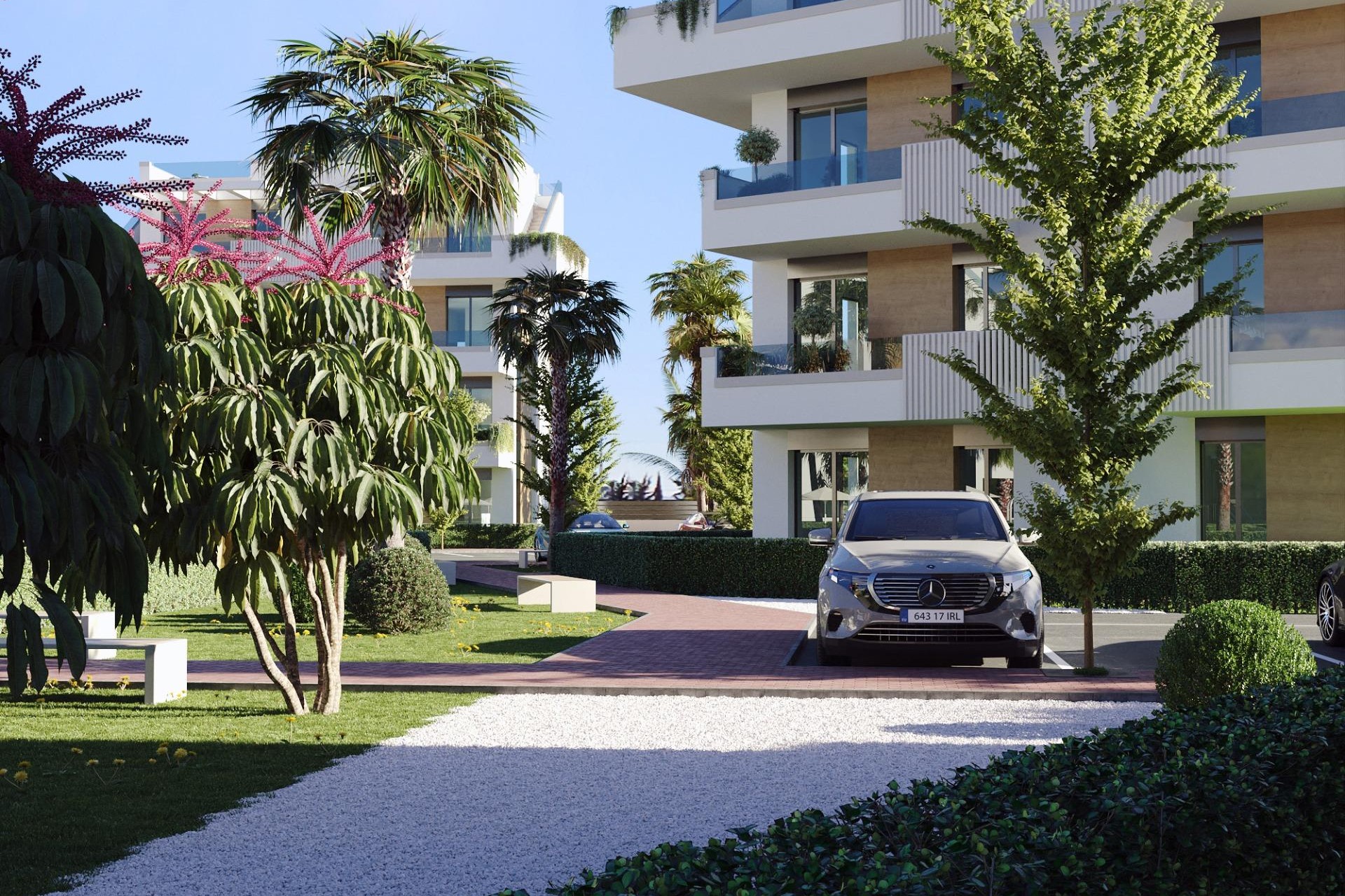 New Build - Apartment / flat - Torre Pacheco - Santa Rosalía