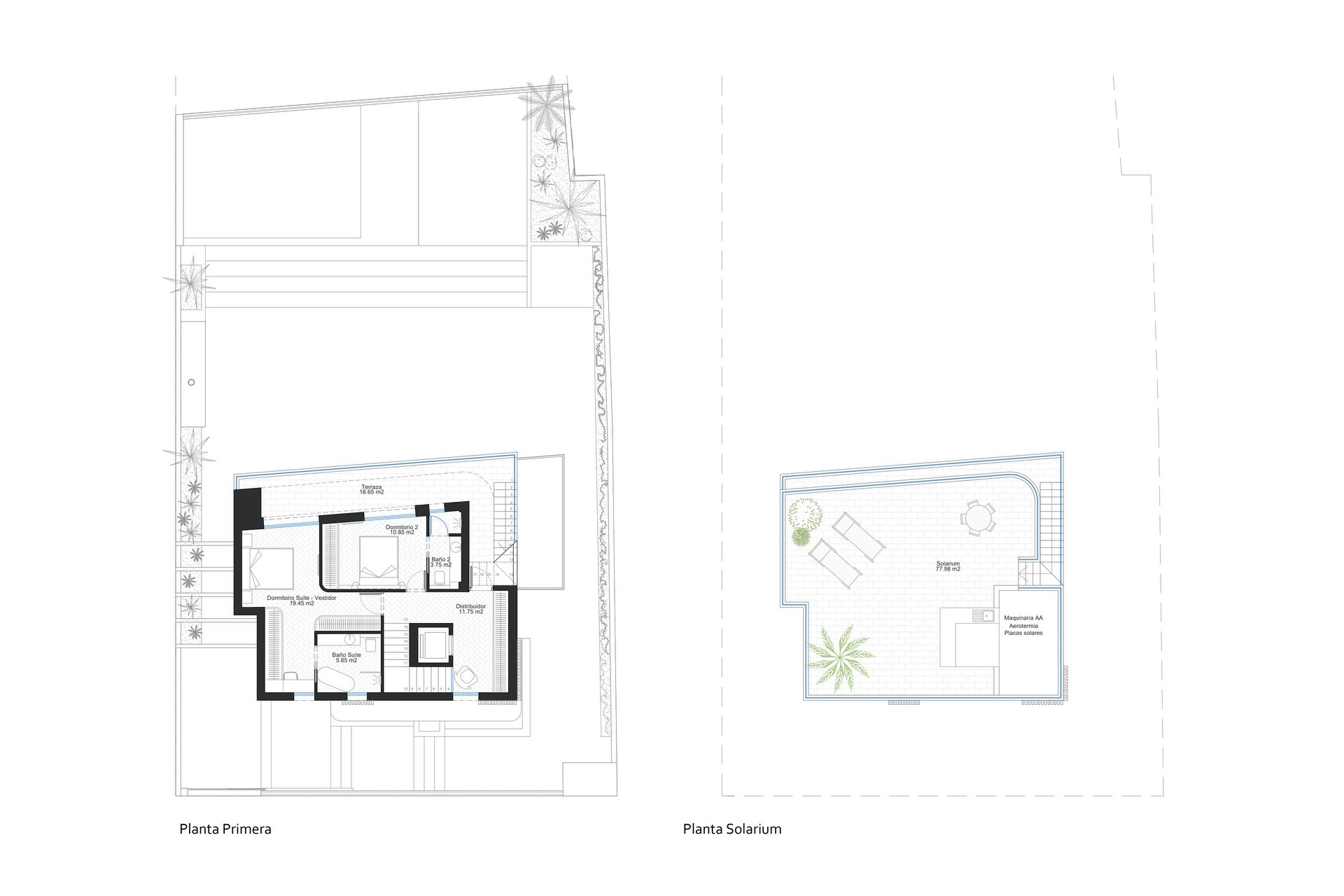 New Build - Villa - Cabo de Palos - Cala Flores