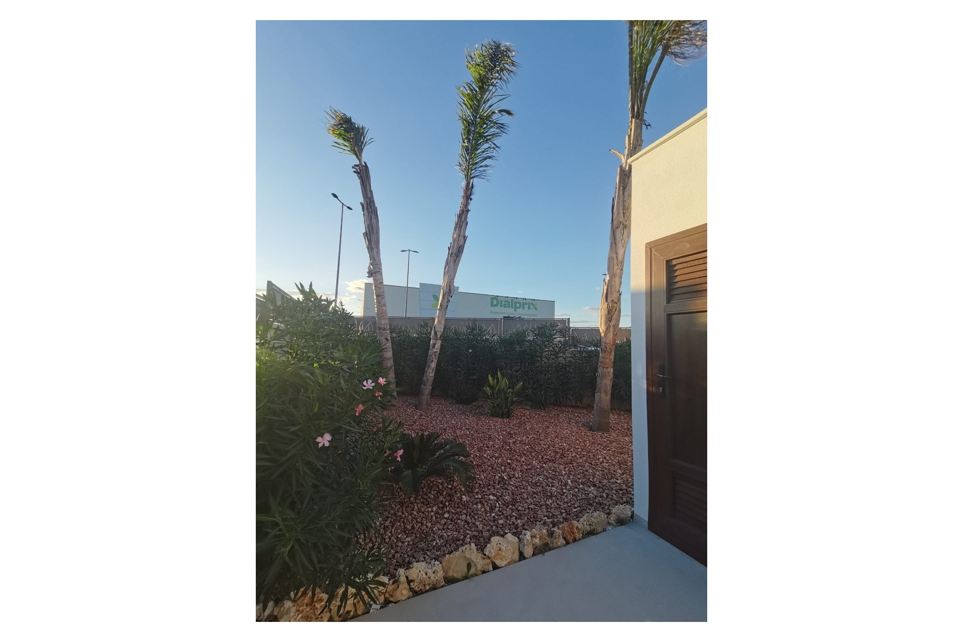 New Build - Villa - Los Montesinos - La Herrada