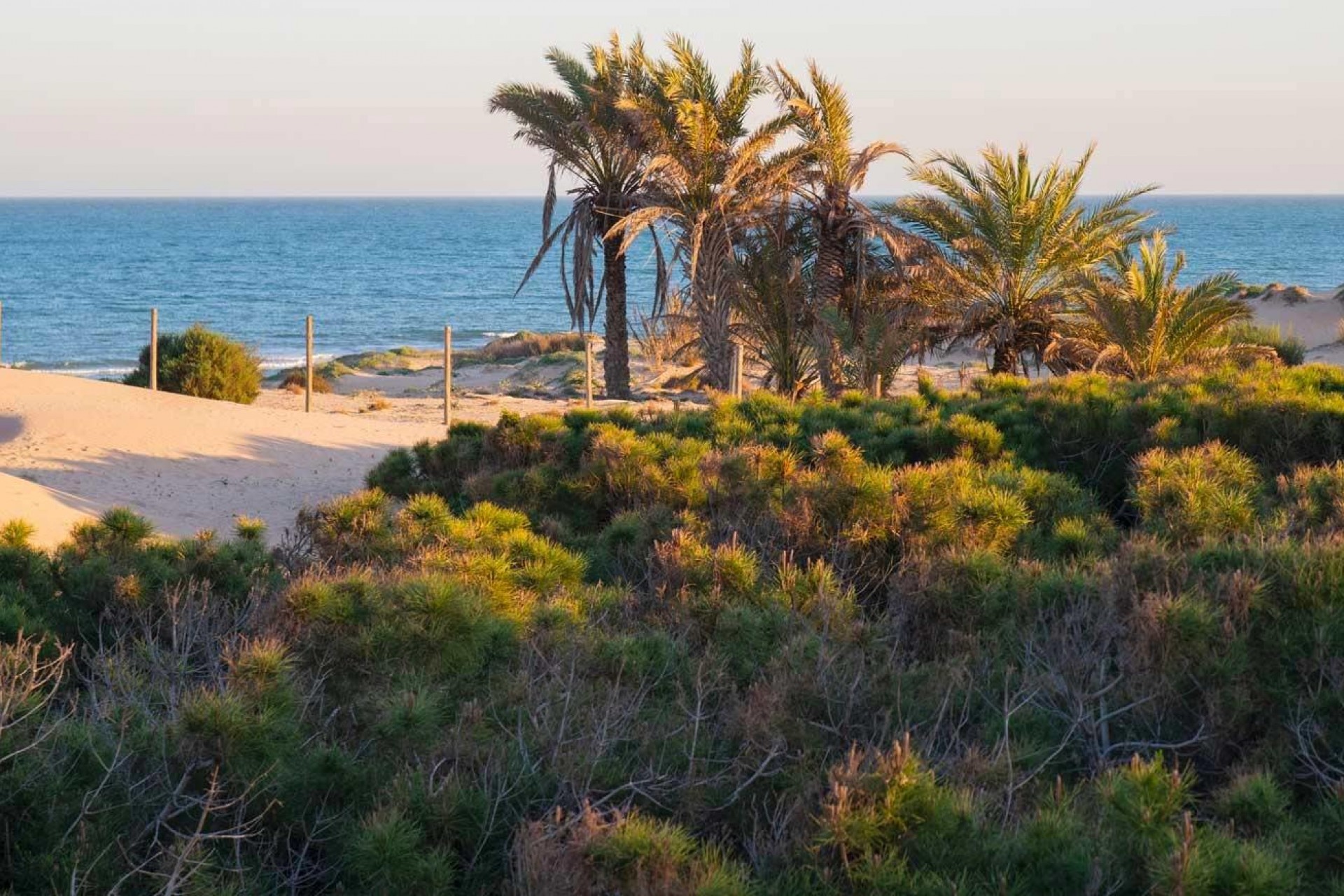 Nouvelle construction - Appartement - Guardamar del Segura - Avda del Puerto