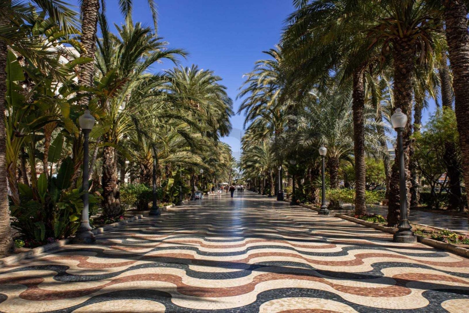 Nouvelle construction - Attique - Alicante - Centro