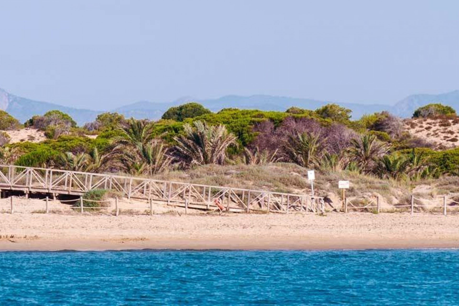 Nouvelle construction - Attique - Guardamar del Segura - Pueblo