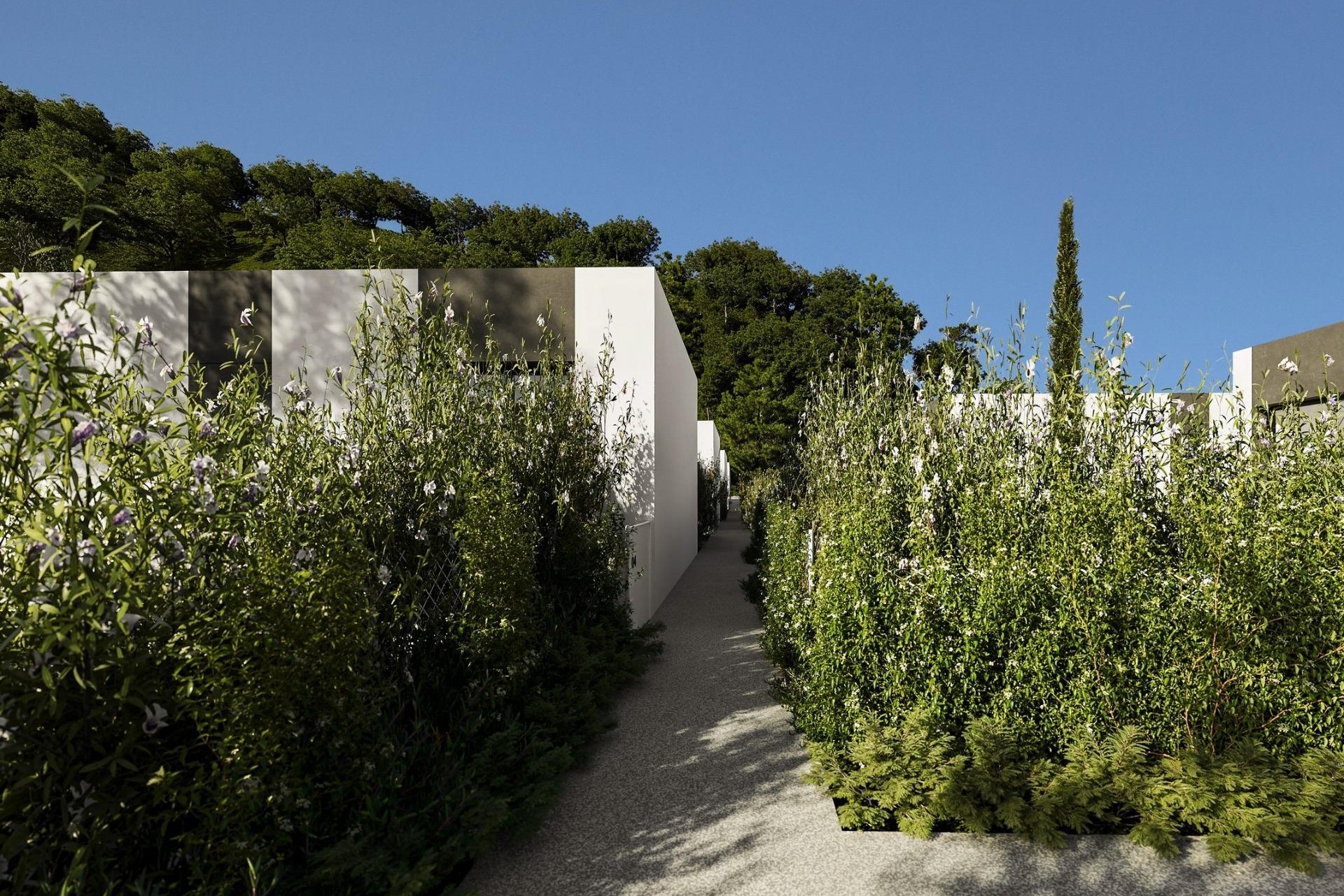 Nouvelle construction - Villa - Alfas del Pí - Barranc Fondo