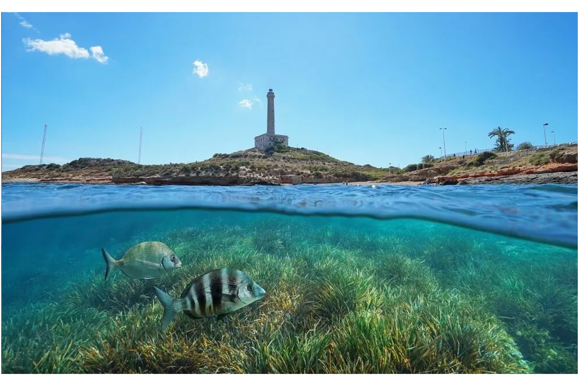 Nouvelle construction - Villa - Cabo de Palos - Cala Flores