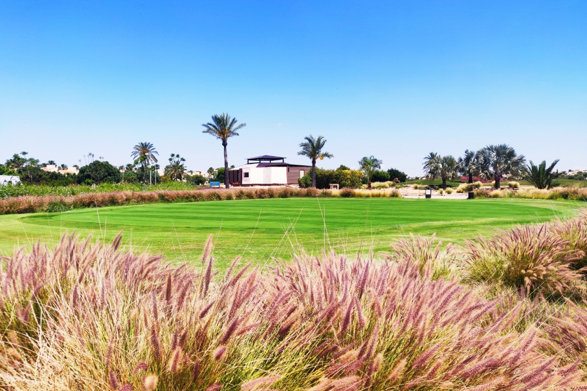 Nueva construcción  - Apartamento / piso - San Javier - Roda Golf