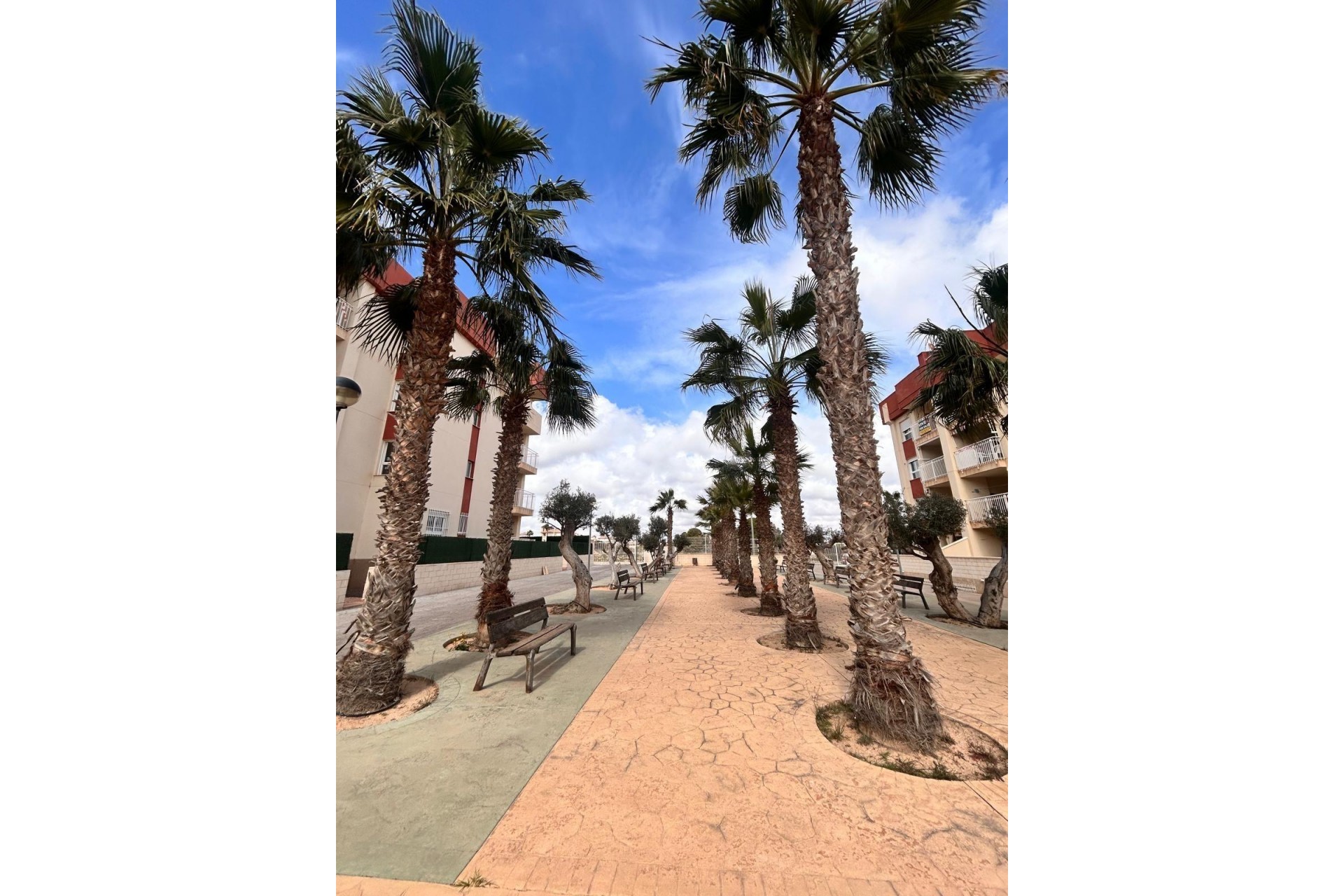 Nueva construcción  - Ático - Orihuela Costa - Lomas De Cabo Roig