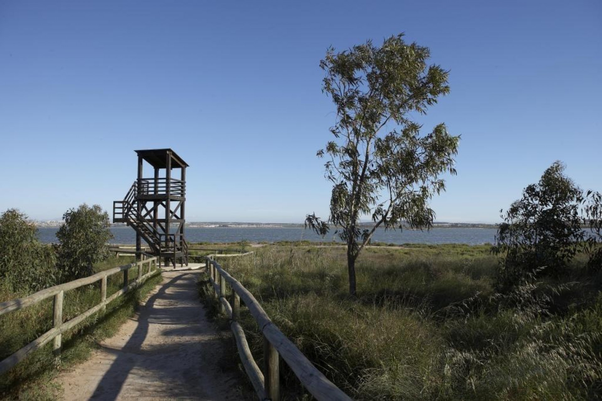 Nueva construcción  - Ático - San Miguel de Salinas - Pueblo