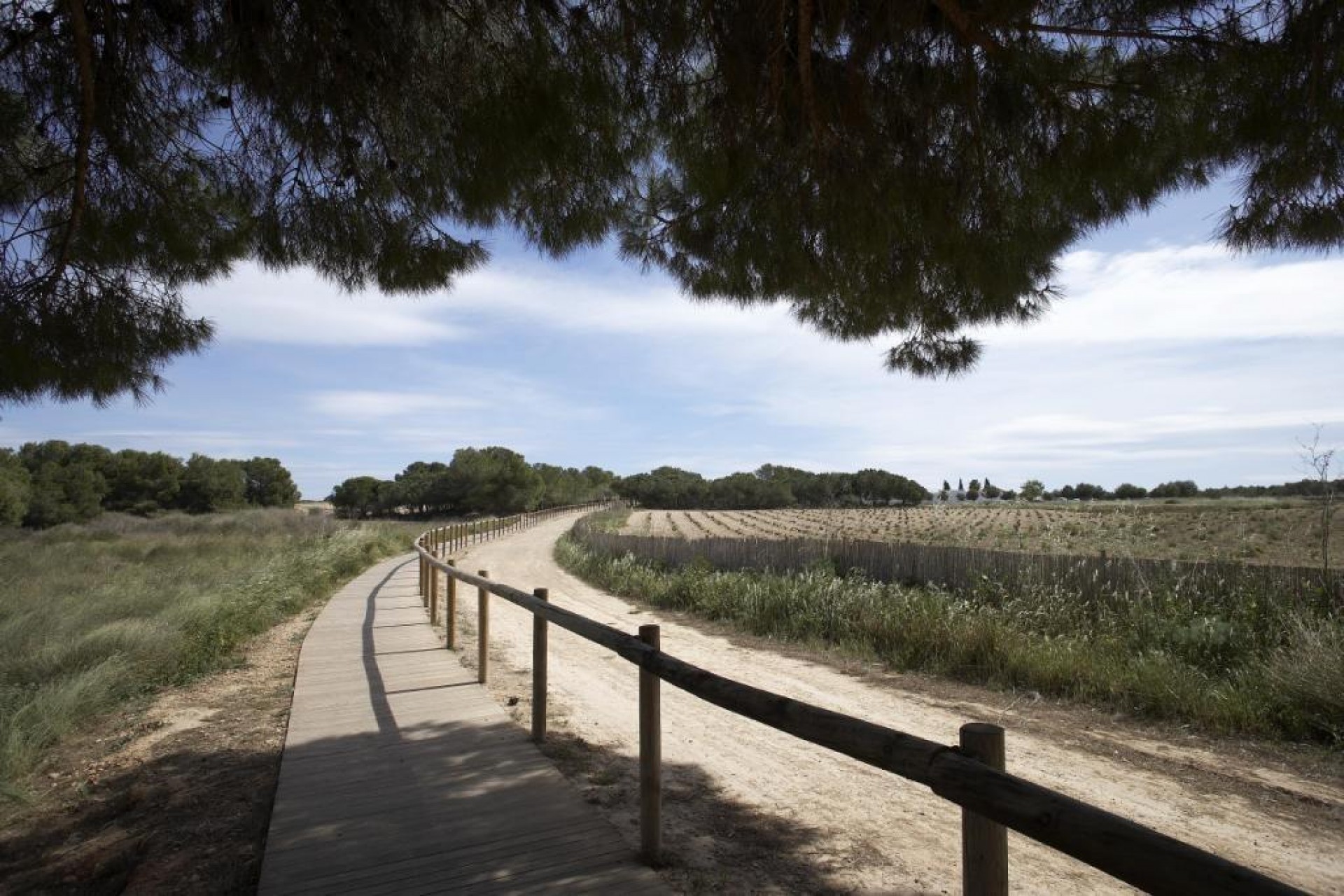 Nueva construcción  - Bungalow - Torrevieja - Aguas Nuevas