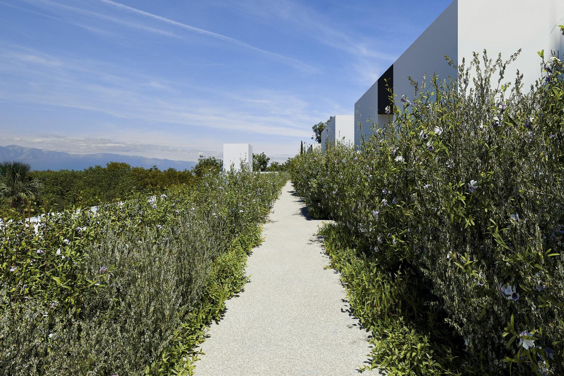 Nueva construcción  - Villa - Alfas del Pí - Barranc Fondo