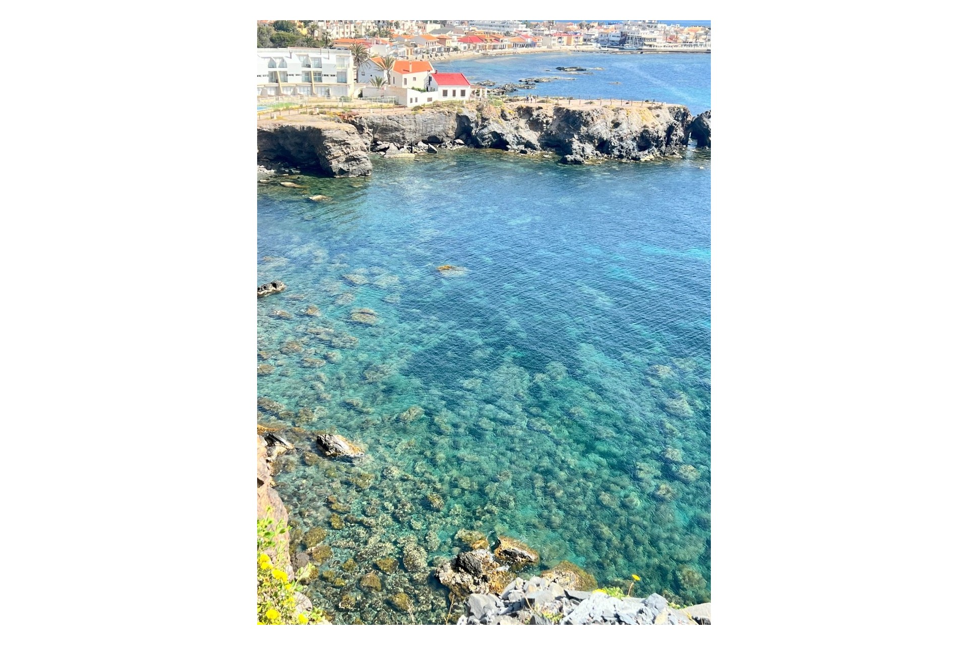 Nueva construcción  - Villa - Cabo de Palos - Cala Flores
