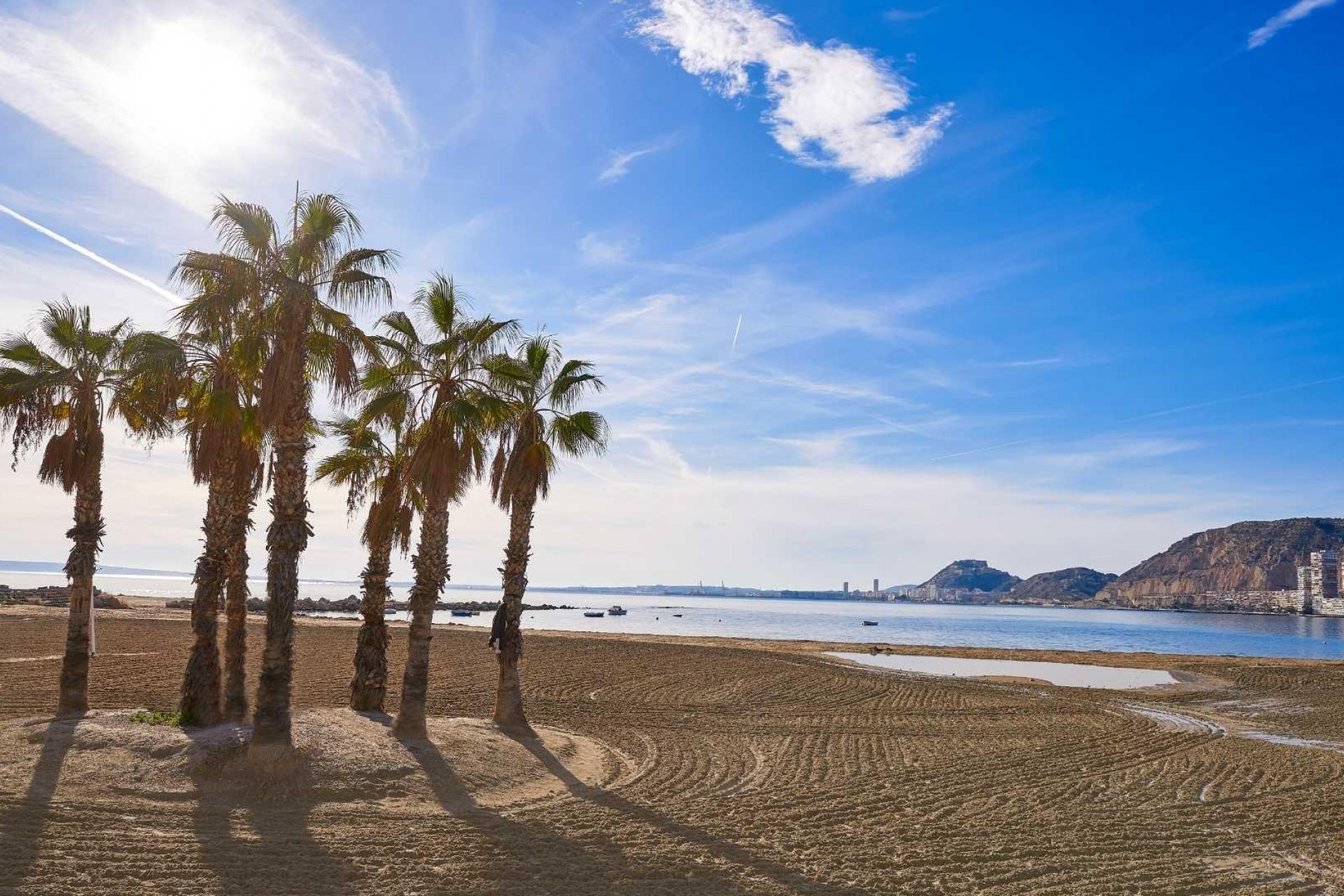 Nueva construcción  - Villa - Els Poblets - Partida Barranquets