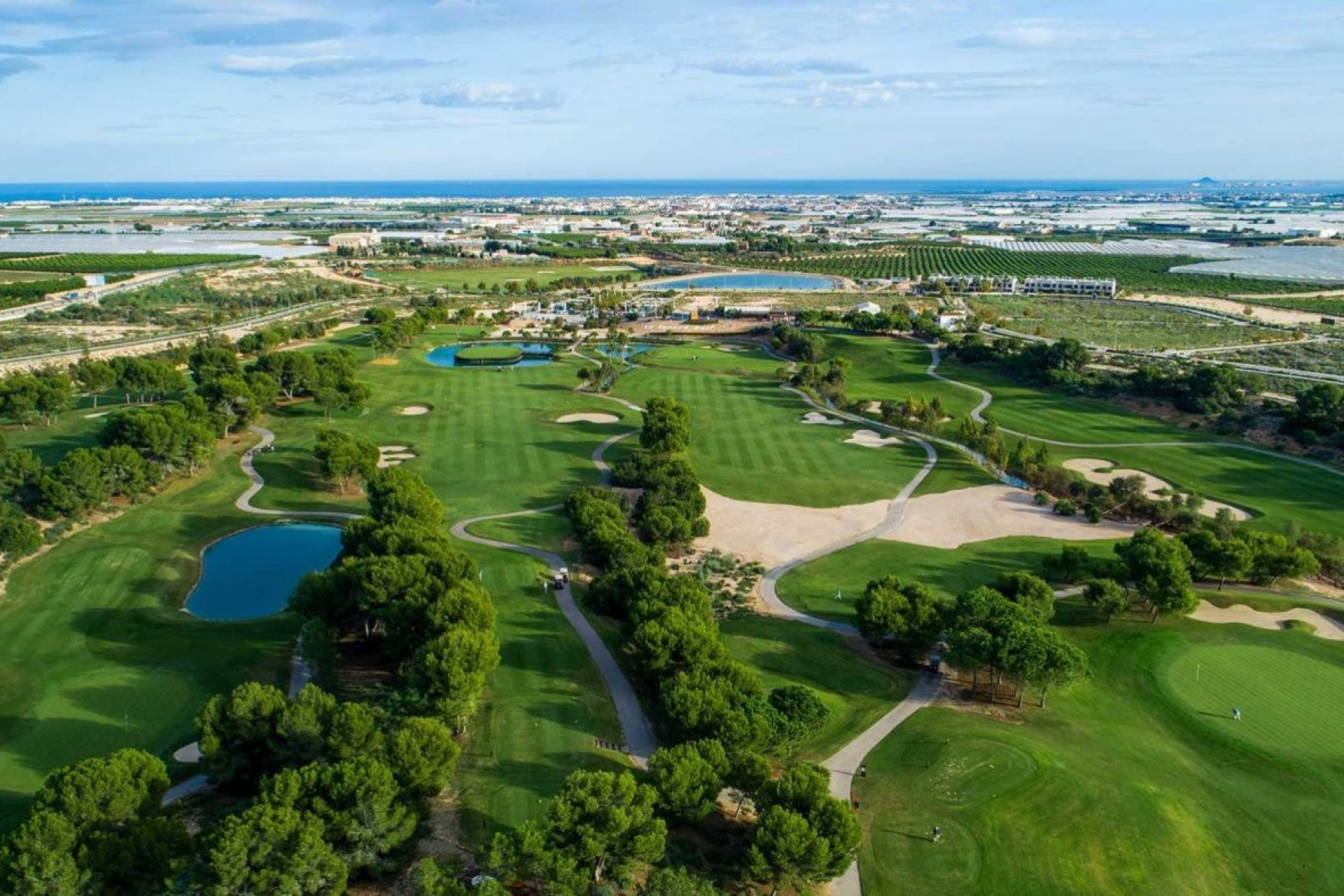 Nueva construcción  - Villa - Pilar de la Horadada - Lo Romero Golf