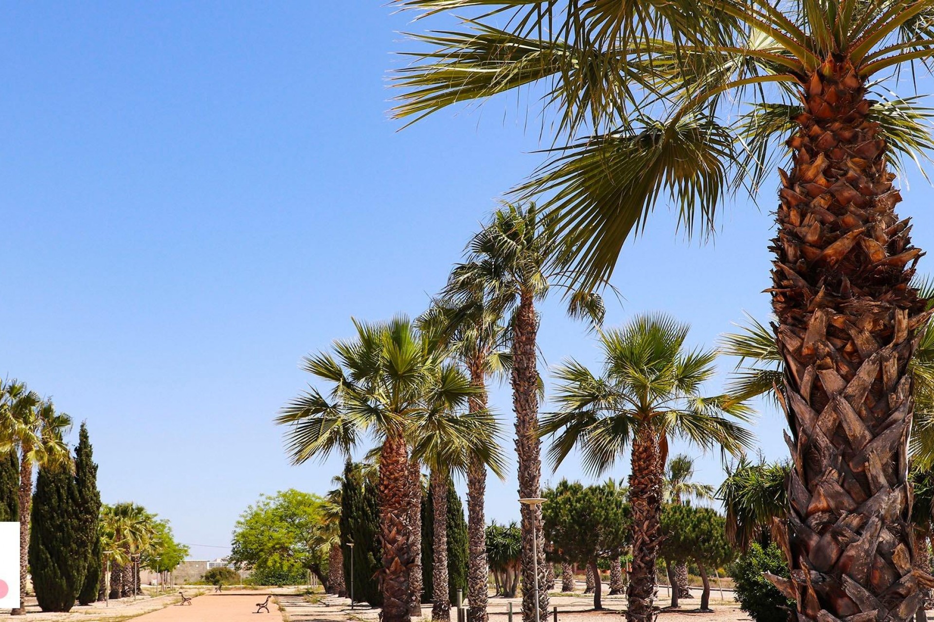 Nueva construcción  - Villa - San Fulgencio - La Escuera