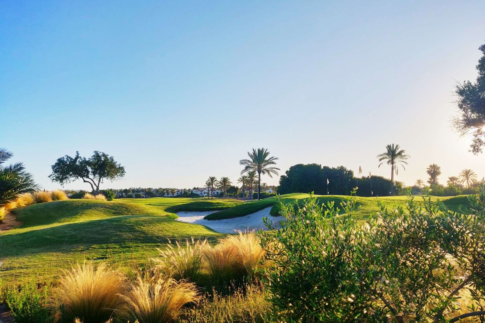 Nueva construcción  - Villa - San Javier - Roda Golf