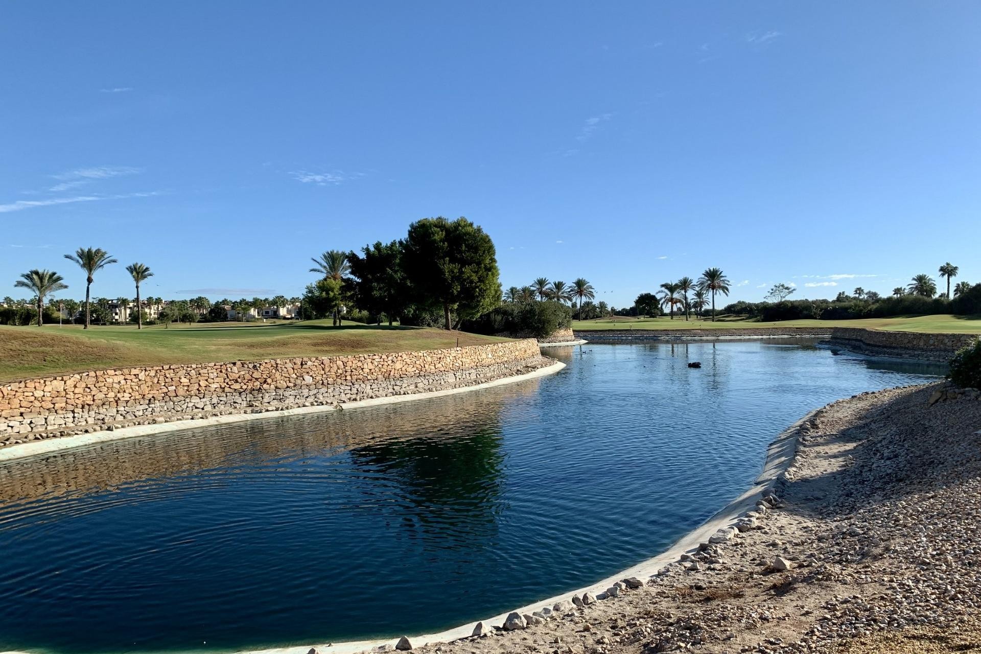 Nueva construcción  - Villa - San Javier - Roda Golf