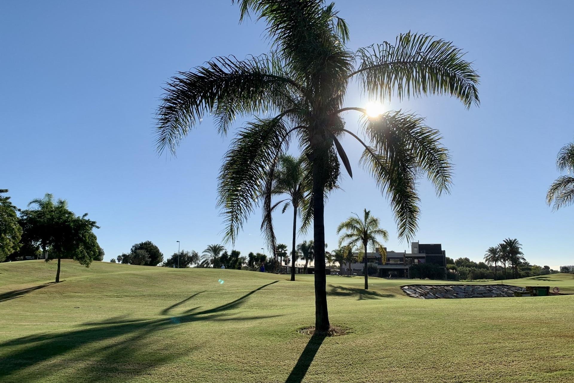 Nueva construcción  - Villa - San Javier - Roda Golf