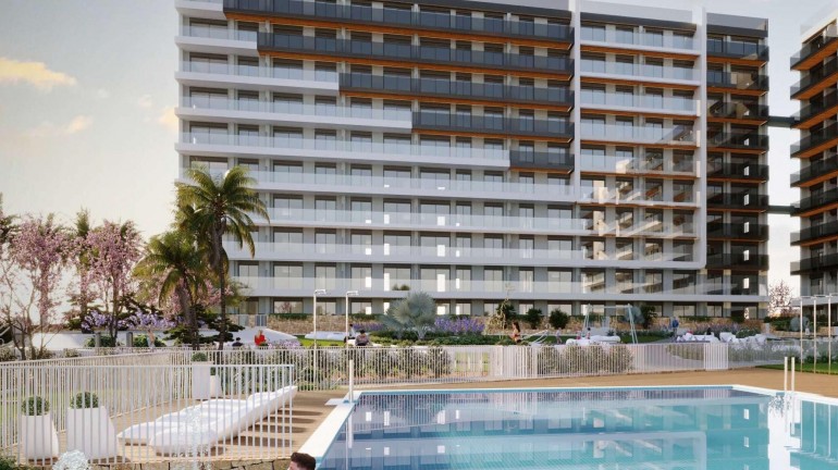 Penthouse - New Build - Torrevieja -
                Punta Prima