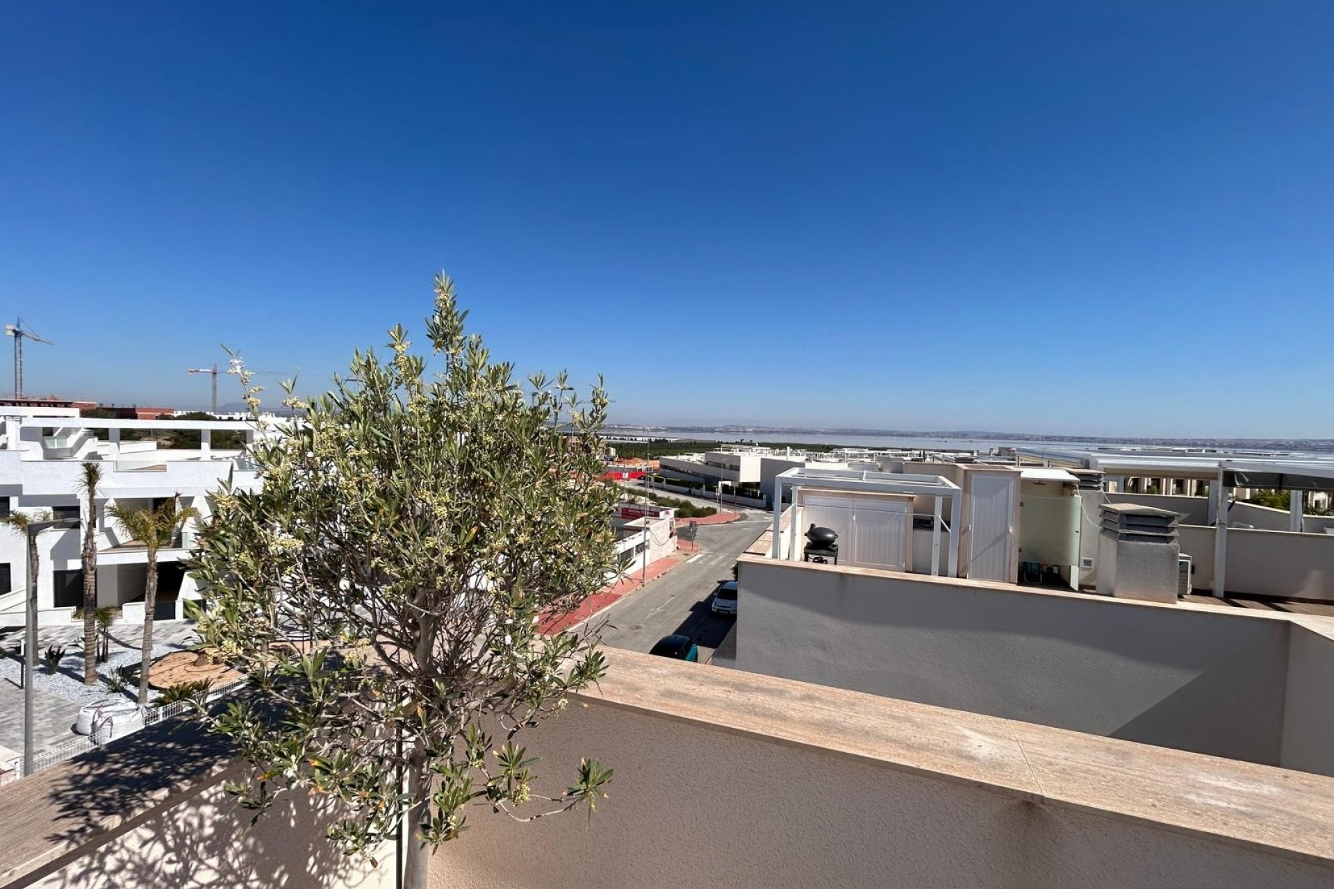 Revente - Bungalow - Torrevieja - Torrevieja - Los Balcones