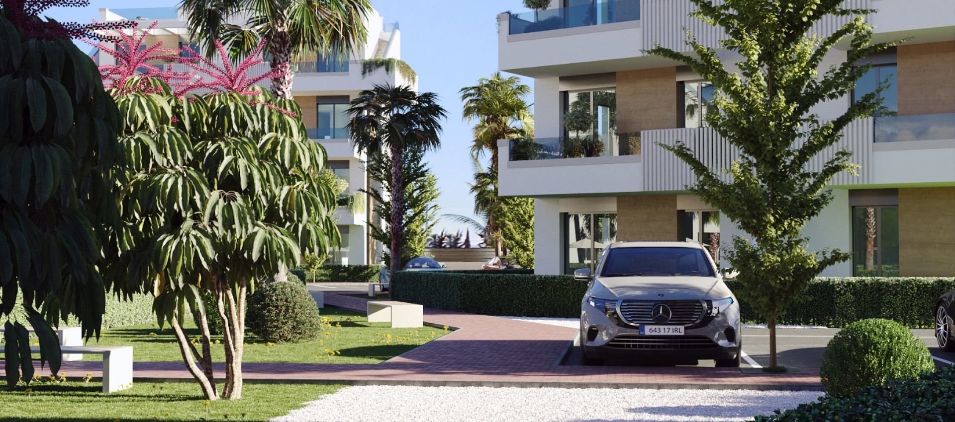 Nouvelle construction - Appartement - Santa Rosalía