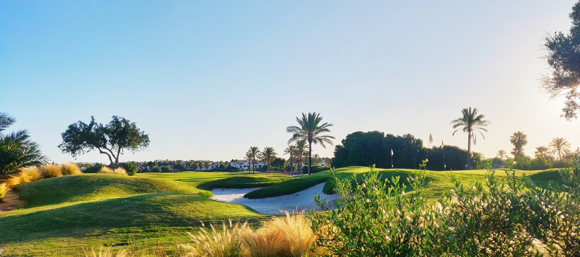 Nueva construcción  - Villa - San Javier - Roda Golf