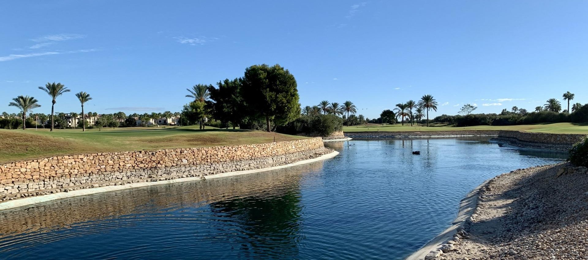 Nueva construcción  - Bungalow - San Javier - Roda Golf