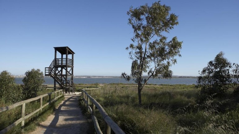 Nouvelle construction - Attique - San Miguel de Salinas - Pueblo