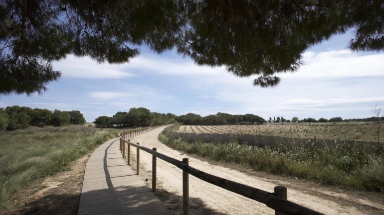 Nouvelle construction - Bungalow - Torrevieja - Altos del Sol