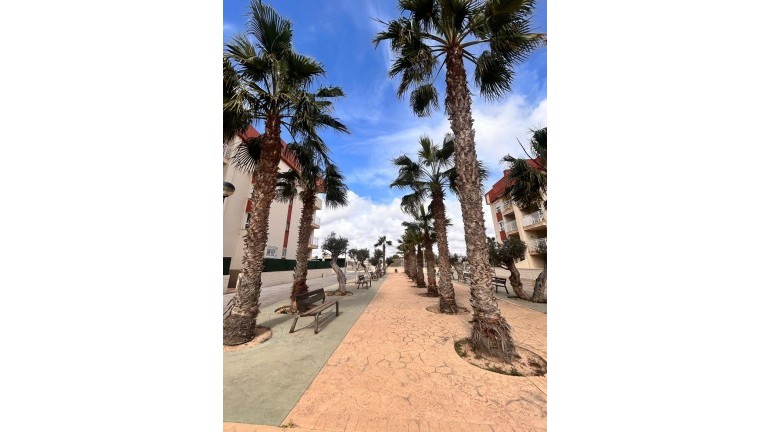 Nouvelle construction - Attique - Orihuela Costa - Lomas De Cabo Roig