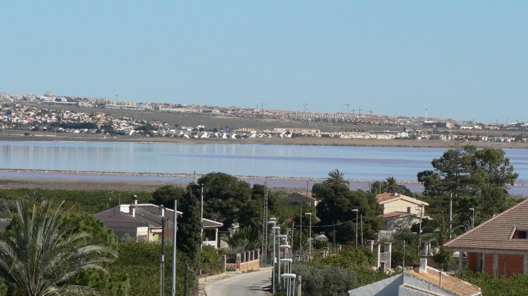 Nouvelle construction - Villa - Los Montesinos - La Herrada