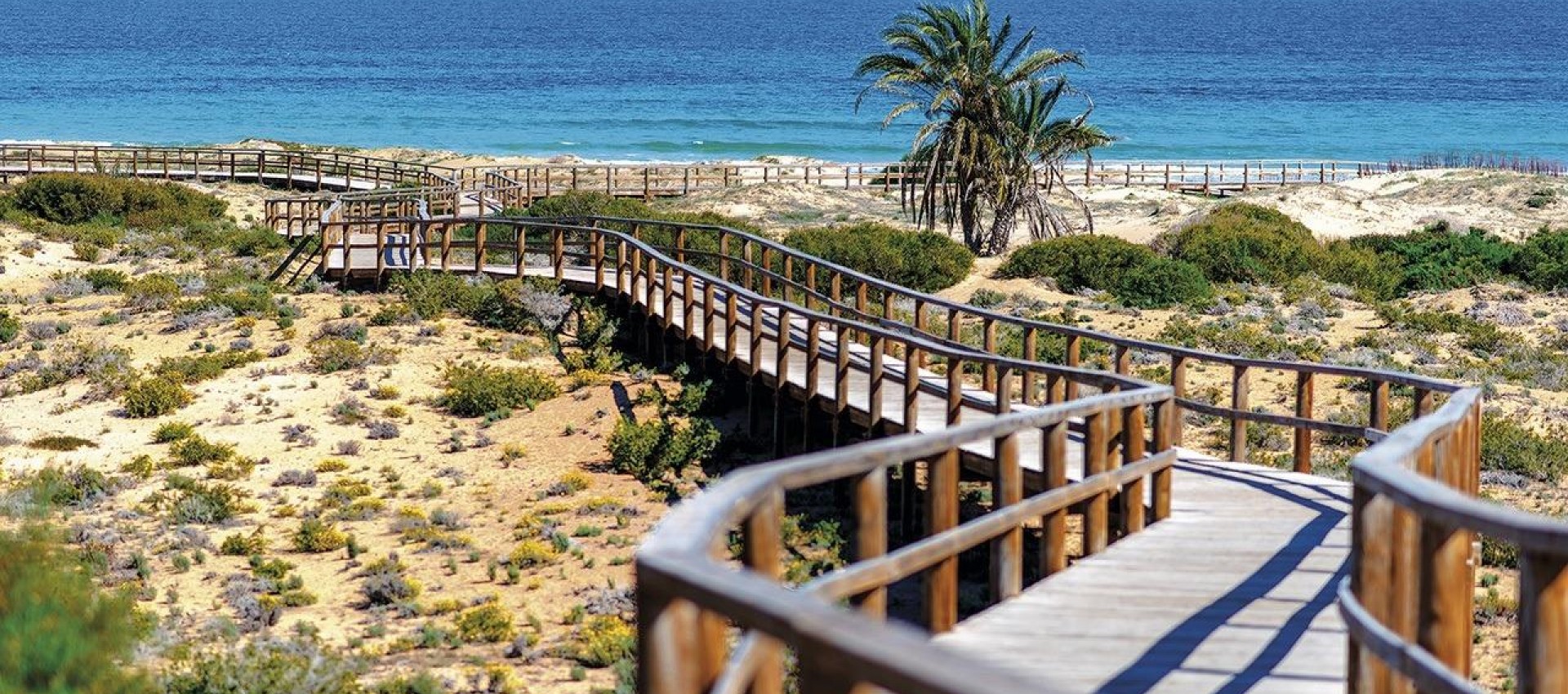 New Build - Apartment / flat - Monforte del Cid - Alenda Golf