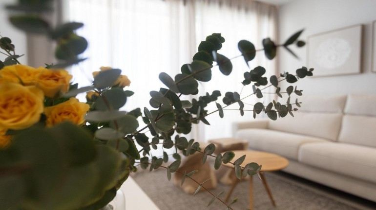 New Build - Apartment / flat - Denia - L´Estanyó (Marinas)