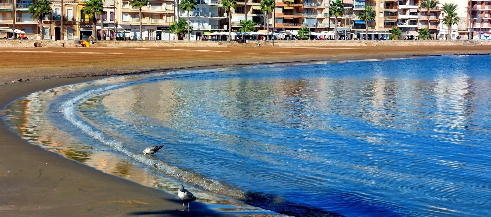 New Build - Bungalow - Fuente Álamo - La Pinilla