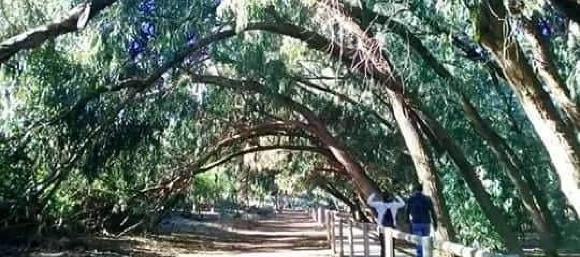 New Build - Bungalow - Torrevieja - Altos del Sol