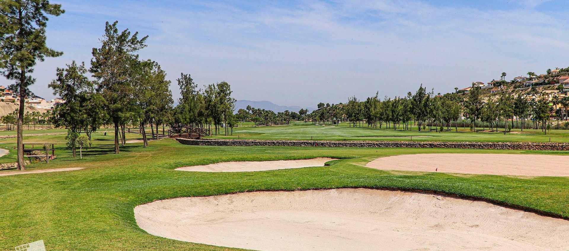 New Build - Villa - Rojales - Ciudad Quesada