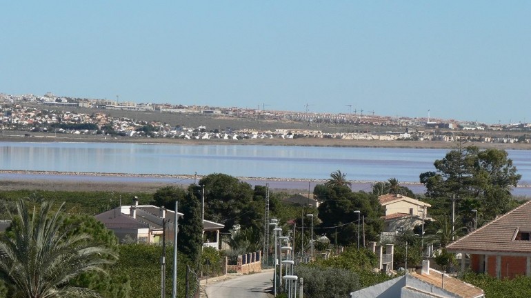 New Build - Villa - Los Montesinos - La Herrada