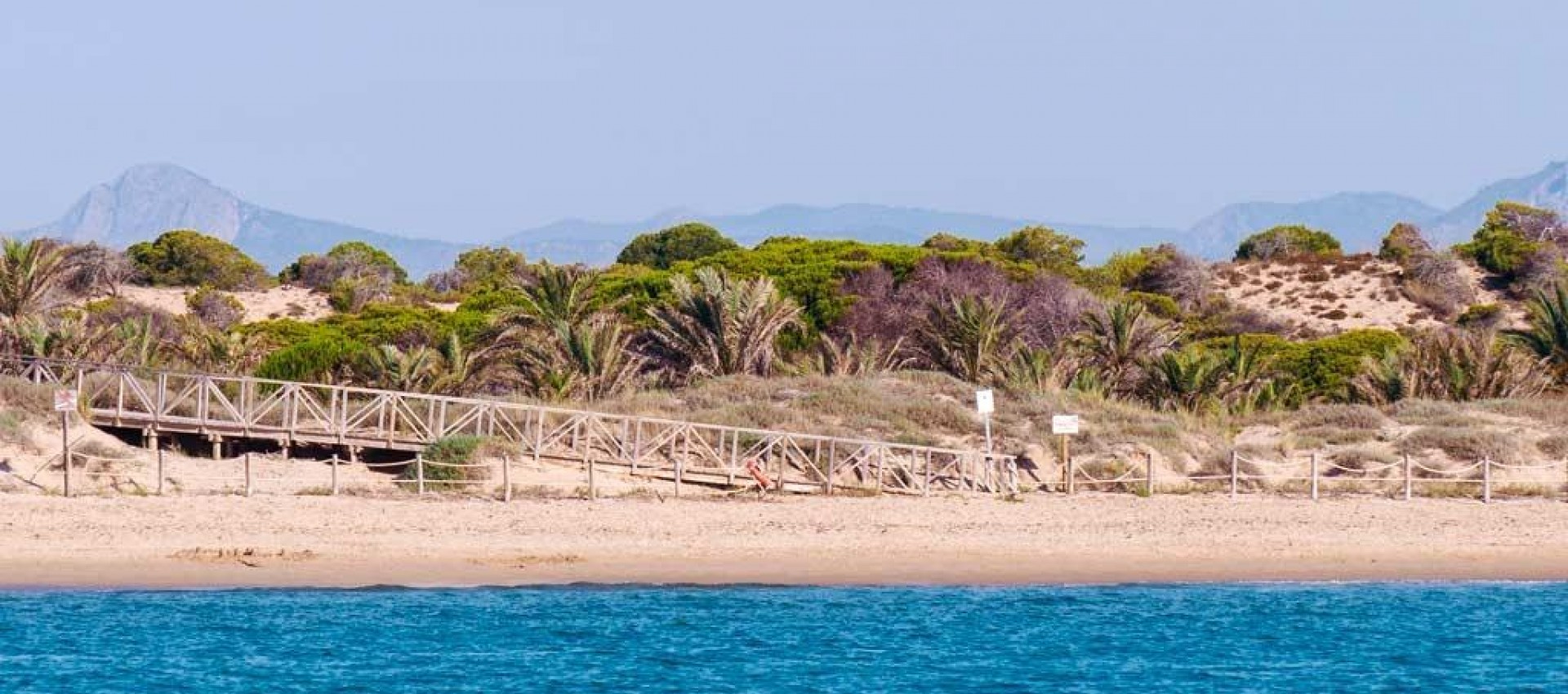 Nouvelle construction - Attique - Guardamar del Segura - Pueblo