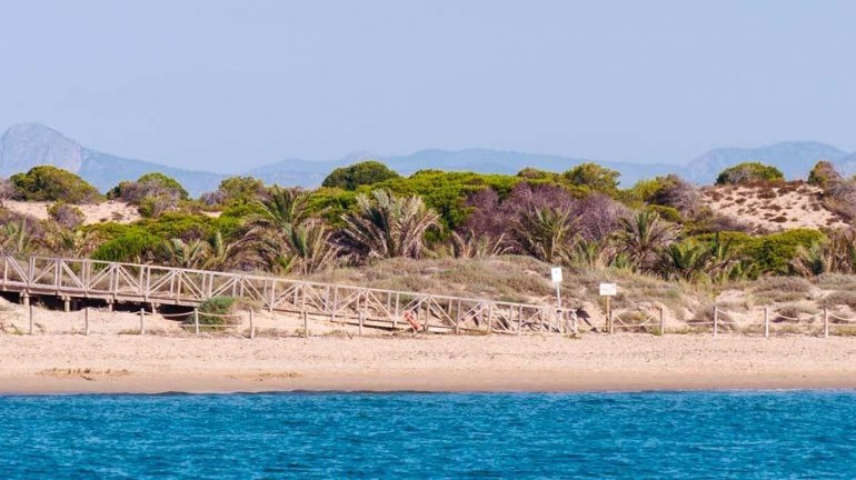 Nouvelle construction - Attique - Guardamar del Segura - Pueblo