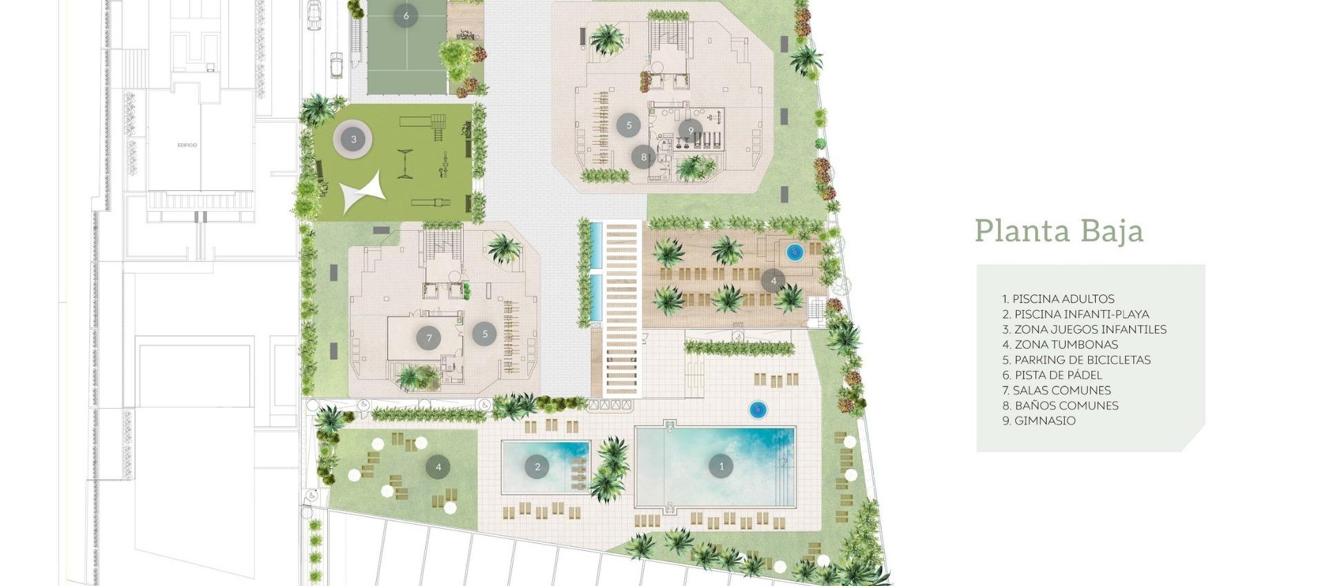 New Build - Apartment / flat - Calpe - Playa Arenal