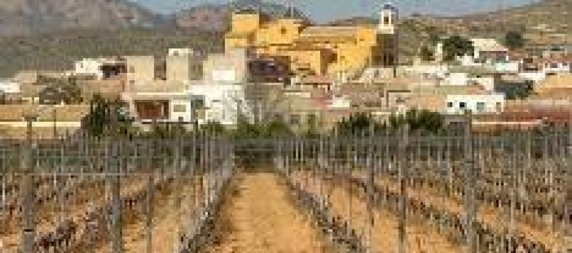 Nueva construcción  - Bungalow - Hondón de las Nieves - Canalosa