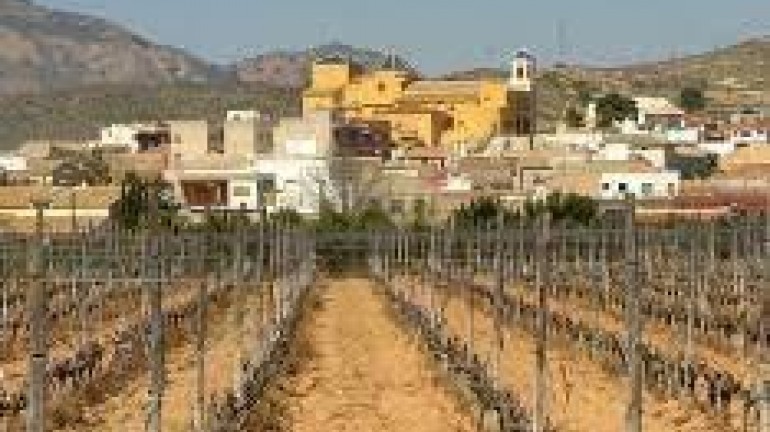 Nueva construcción  - Bungalow - Hondón de las Nieves - Canalosa