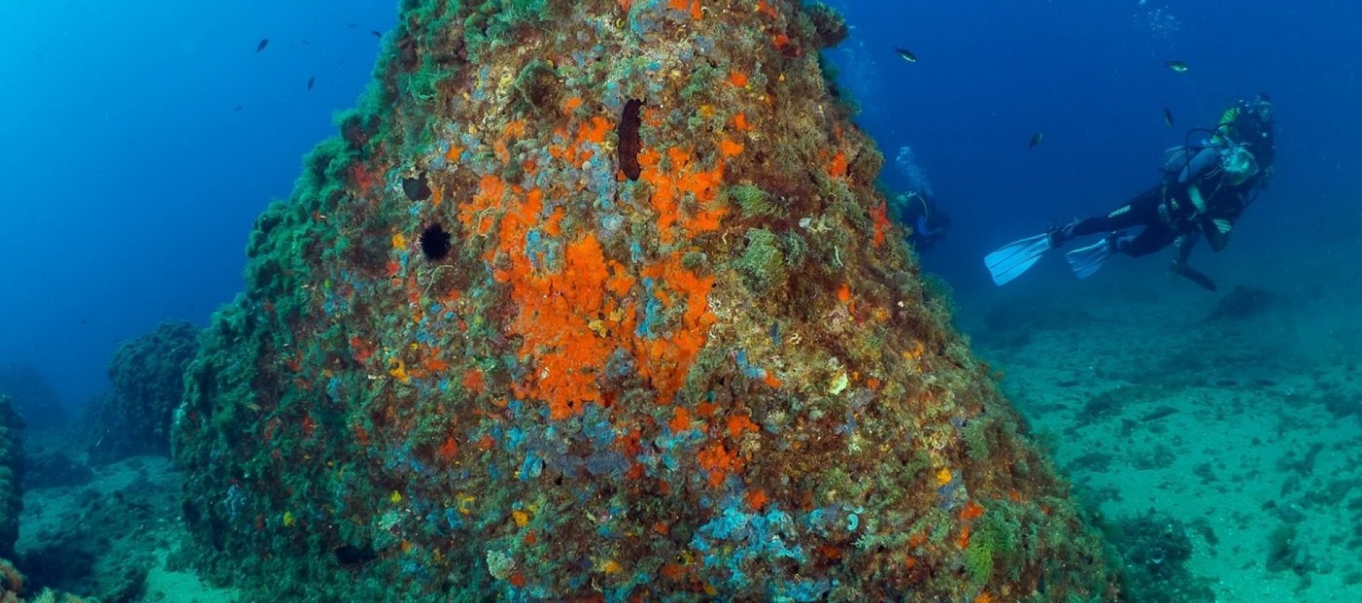 New Build - Apartment / flat - Aguilas - Isla Del Fraile