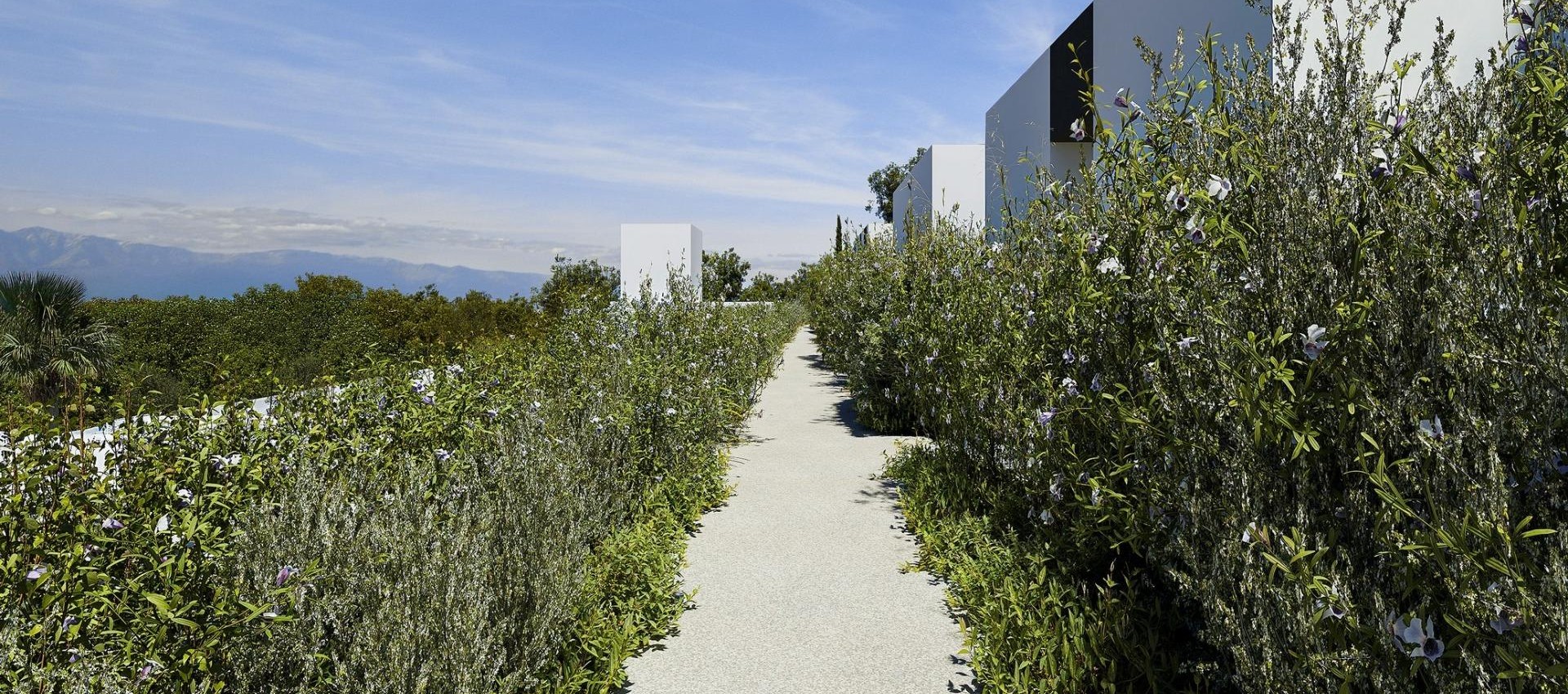 Nueva construcción  - Villa - Alfas del Pí - Barranc Fondo