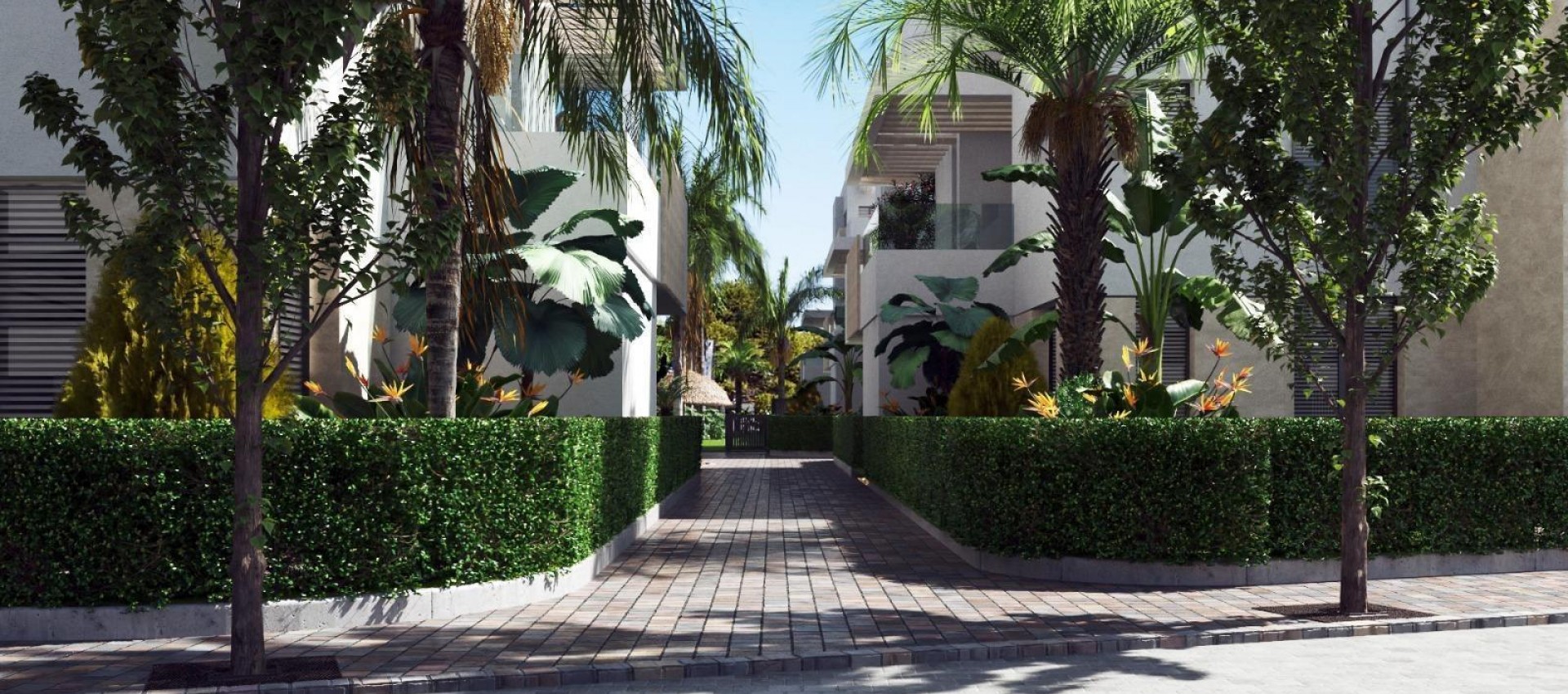 Nouvelle construction - Attique - Torre Pacheco - Santa Rosalía