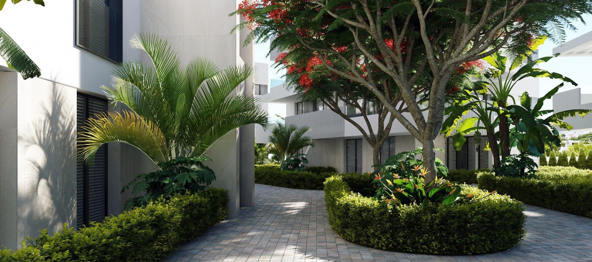 Nouvelle construction - Attique - Torre Pacheco - Santa Rosalía