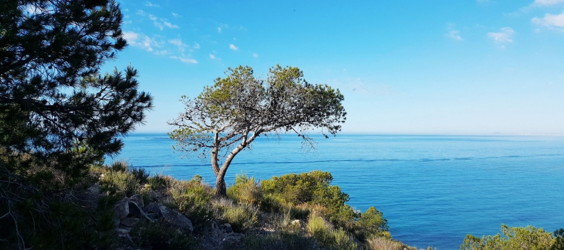 Nouvelle construction - Appartement - Villajoyosa - Playa Les Torres