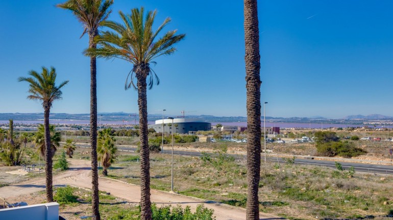 Nueva construcción  - Villa - Torrevieja - Sector 25